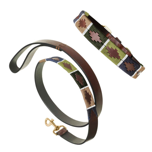 Hundehalsband und Leine Set - Caza