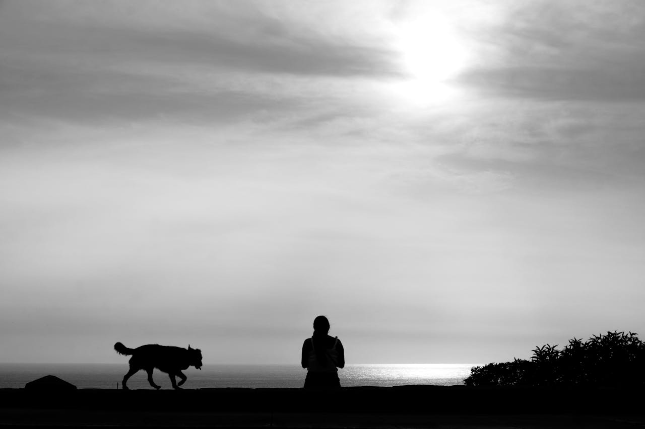 Kiyono schwarz weißes Foto von einer Person und einem Hund - Symbol für Minimalismus.