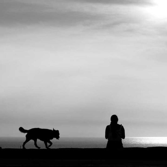Silhouette eines Menschen und eines Hundes bei Sonnenuntergang am Meer – Symbol für Achtsamkeit, Verbindung und den Sinn im Einfachen.