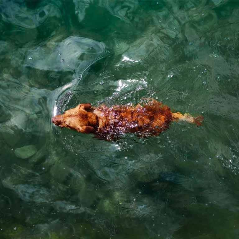 Sommer, Sonne, Wasserfreude - aber sicher!