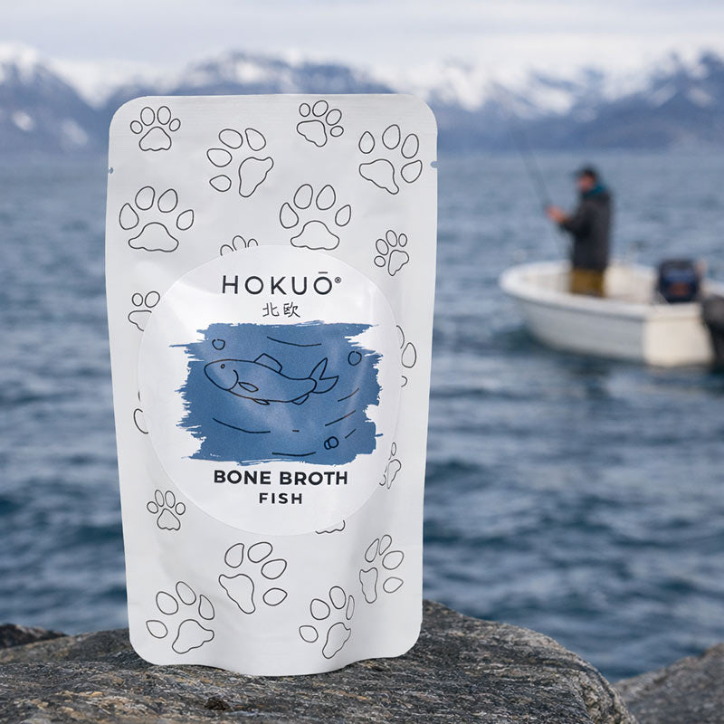 Fischknochenbrühe für Katzen & Hunde
