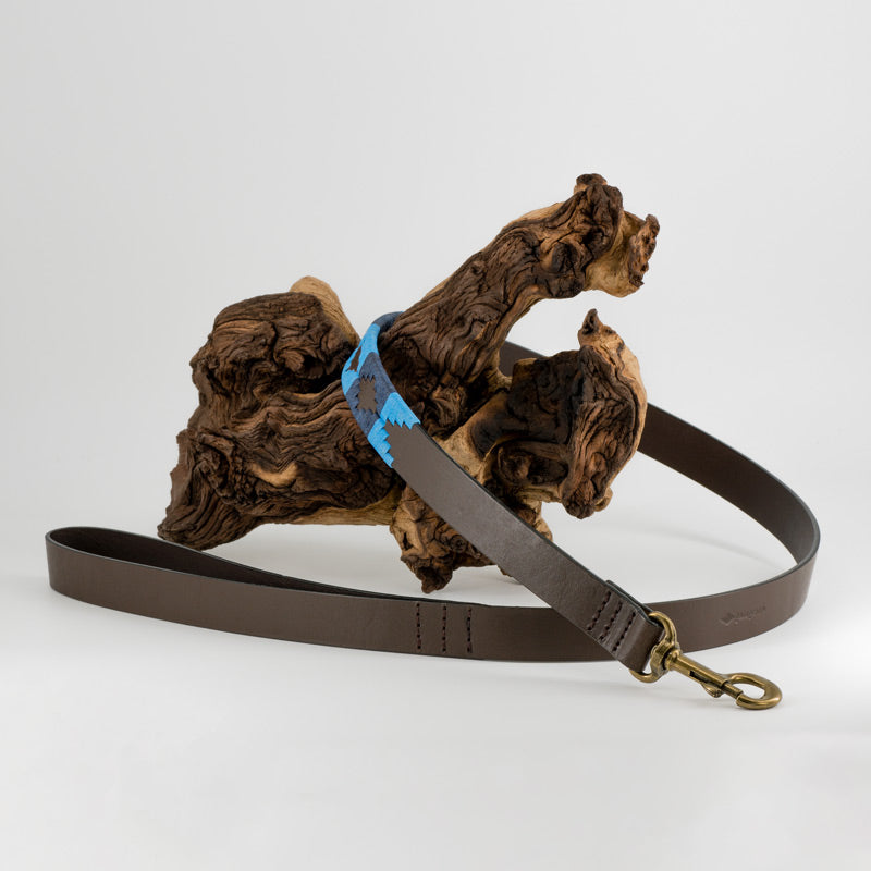 Hundeleine Azules trapiert auf einer Wurzel