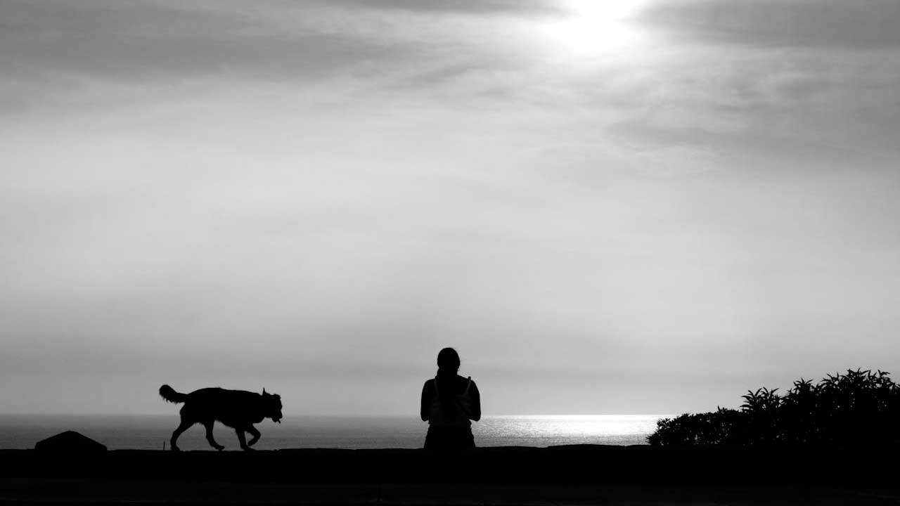 Silhouette eines Menschen und eines Hundes bei Sonnenuntergang am Meer – Symbol für Achtsamkeit, Verbindung und den Sinn im Einfachen.