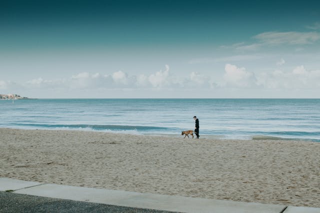 Mensch spaziert mit Hund am leeren Strand – Symbol für Achtsamkeit, Nachhaltigkeit und bewusstes Handeln mit Kiyono