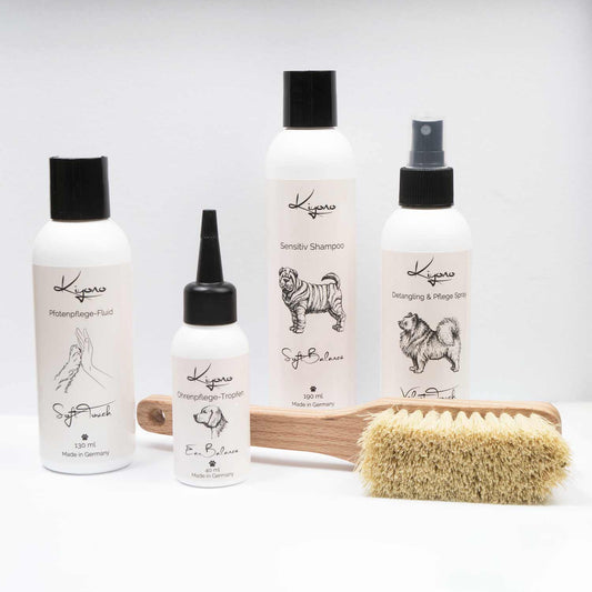 Ganzheitliches Pflegeset für Hunde mit Sensitiv-Shampoo, Entwirrungsspray, Pfotenpflege-Fluid, Ohrenpflege-Tropfen und sanfter Naturborstenbürste – ideale Komplettlösung für die tägliche Hundepflege.