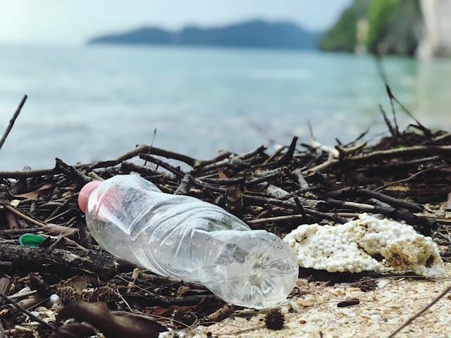 Plastikflasche am Strand zwischen Treibholz – Symbol für Umweltbelastung durch Verpackungsmüll und Notwendigkeit von Recycling