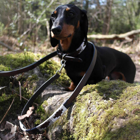 Hundehalsband & Leine Set - Roca