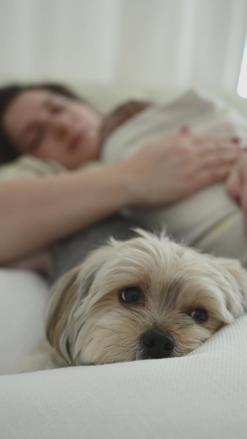 Eine Frau mit Baby im Arm und einem Hund - Symbol für natürliche Produkte. Rein. Ohne Chemie.