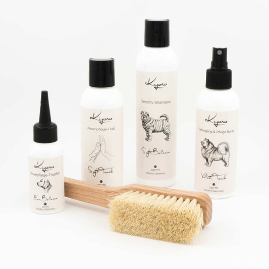 Ganzheitliches Pflegeset für Hunde mit Sensitiv-Shampoo, Entwirrungsspray, Pfotenpflege-Fluid, Ohrenpflege-Tropfen und sanfter Naturborstenbürste – ideale Komplettlösung für die tägliche Hundepflege.